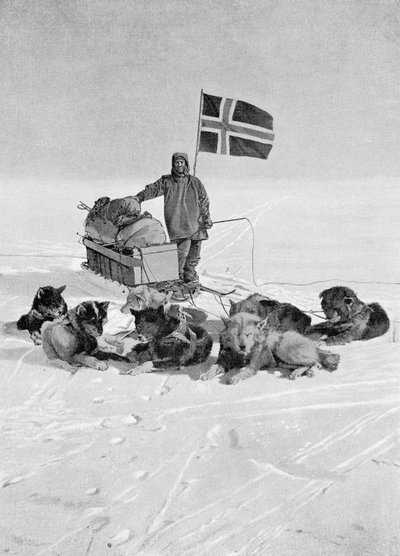 Captain Roald Amundsen at the South Pole by Unbekannt Unbekannt